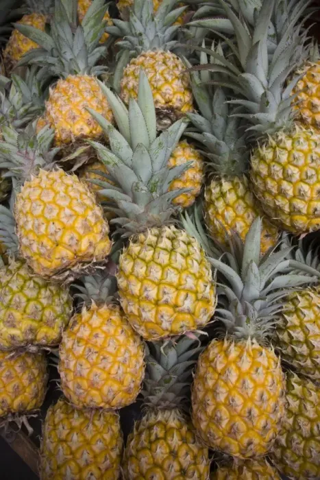 Framed Print : Reunion Island, St-Paul, Seafront Market, pineapples Framed Print : Reunion Island, St-Paul, Seafront Market, pineapples