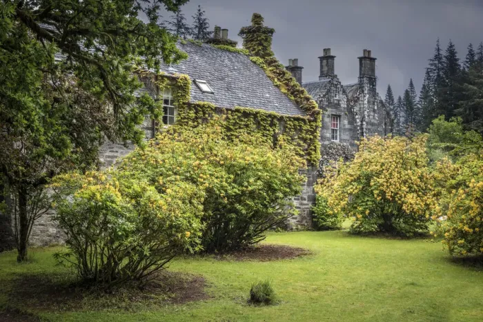 Framed Print : Rhododendrons in the park of the Ardanaiseig Castle Hotel, Kilchrenan, Aryll and Bute Framed Print : Rhododendrons in the park of the Ardanaiseig Castle Hotel, Kilchrenan, Aryll and Bute