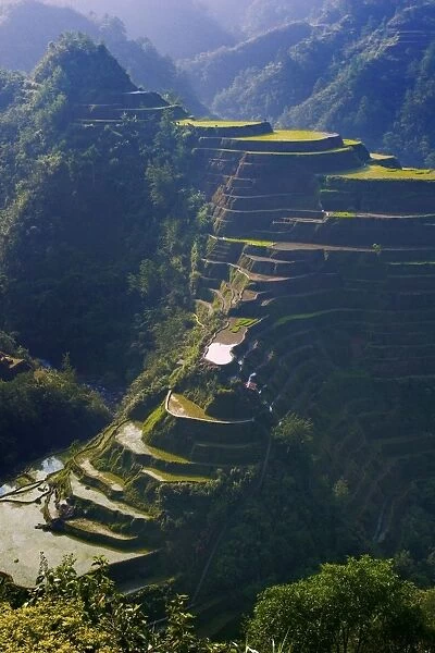 Rice terraces of Banaue, Luzon Island, Philippines