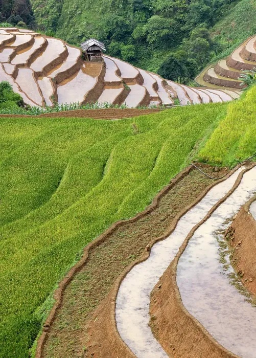 Framed Print : Rice terraces at Mu Cang Chai, Vietnam Framed Print : Rice terraces at Mu Cang Chai, Vietnam
