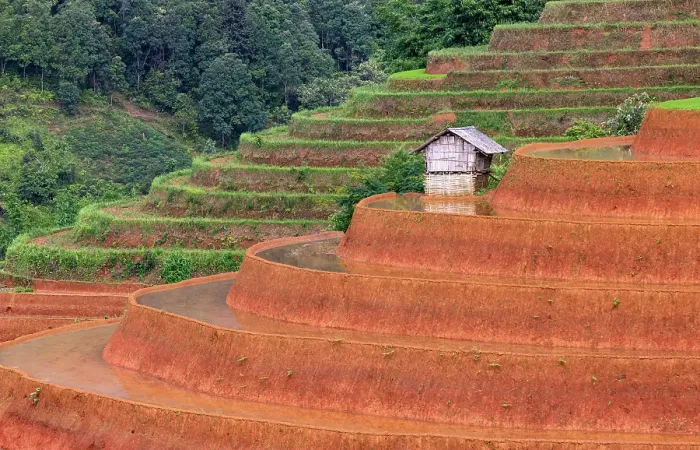 Framed Print : Rice terraces at Mu Cang Chai, Vietnam Framed Print : Rice terraces at Mu Cang Chai, Vietnam
