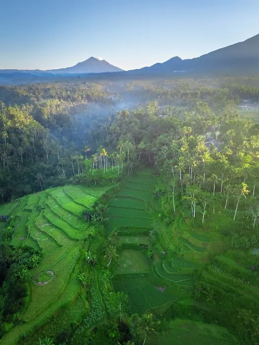 Framed Print : Rice tewrraces in East Bali, Bali, Indonesia