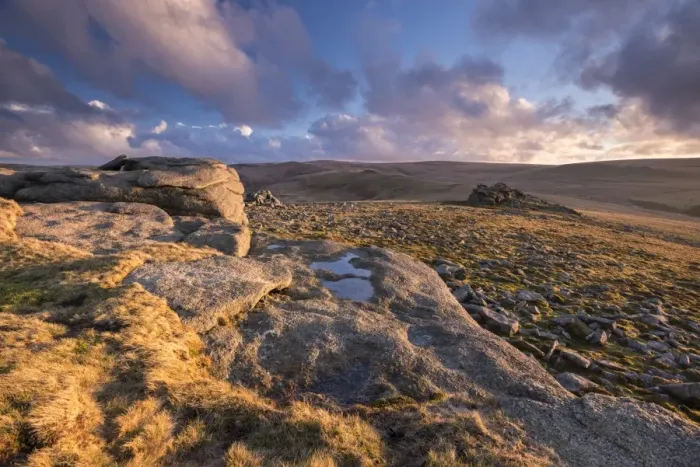 Framed Print : Rich evening sunlight bathes the moorland at Higher Tor in Dartmoor National Park, Devon, England Framed Print : Rich evening sunlight bathes the moorland at Higher Tor in Dartmoor National Park, Devon, England