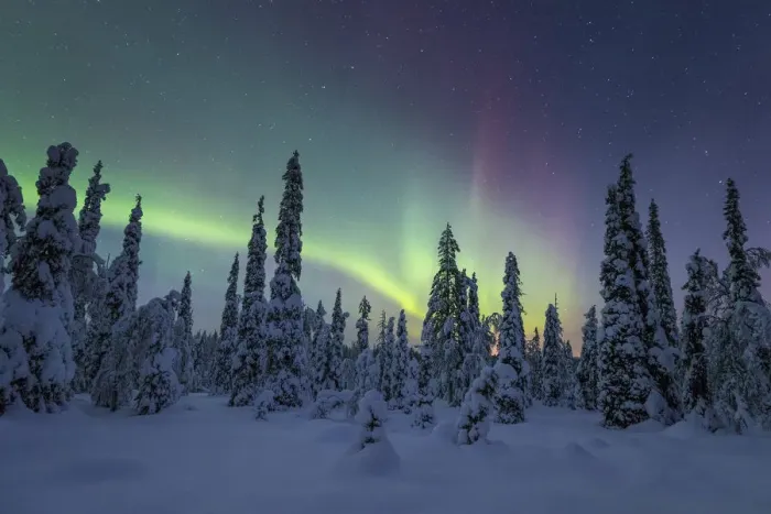 Framed Print : Riisitunturi in winter with Aurora Borealis, Kuusamo, Lapland, Finland Framed Print : Riisitunturi in winter with Aurora Borealis, Kuusamo, Lapland, Finland