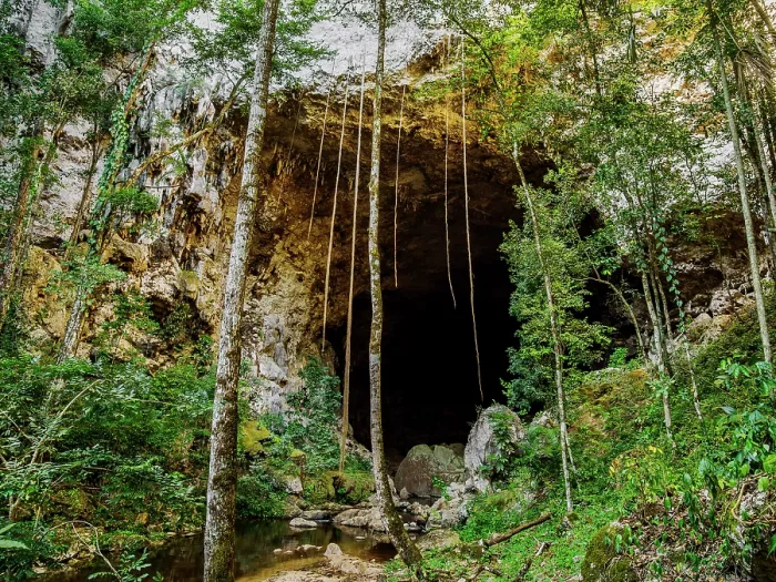 Framed Print : Rio Frio Cave, Mountain Pine Ridge Forest Reserve, Cayo District, Belize Framed Print : Rio Frio Cave, Mountain Pine Ridge Forest Reserve, Cayo District, Belize