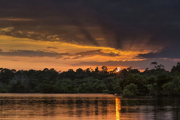 Rio Negro basin, Amazonas, Brasil