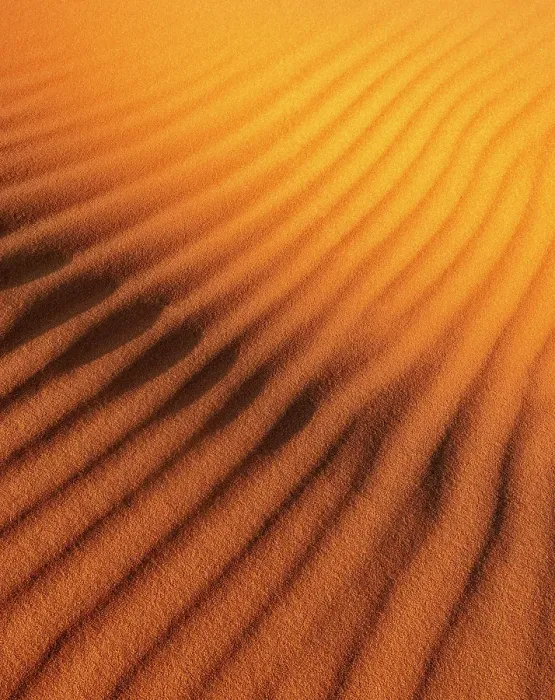 Framed Print : Ripples in golden sand dune, Erg Chebbi, Sahara Desert, near Merzouga, Morocco Framed Print : Ripples in golden sand dune, Erg Chebbi, Sahara Desert, near Merzouga, Morocco