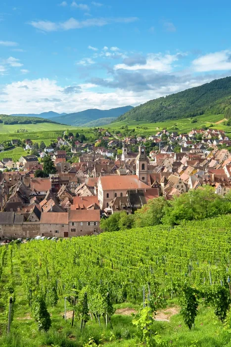 Framed Print : Riquewihr, Alsace wine region, France