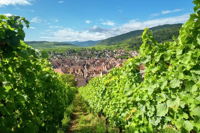 Framed Print : Riquewihr, Alsace wine region, France Framed Print : Riquewihr, Alsace wine region, France