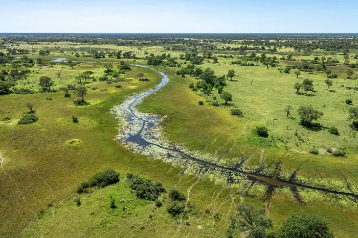 Framed Print : River Aerial, Okavango Delta, Botswana Framed Print : River Aerial, Okavango Delta, Botswana