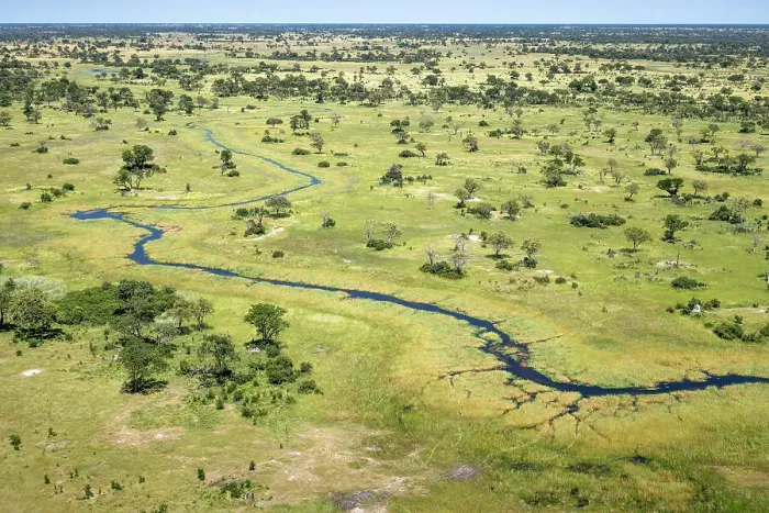 Framed Print : River Aerial, Okavango Delta, Botswana Framed Print : River Aerial, Okavango Delta, Botswana