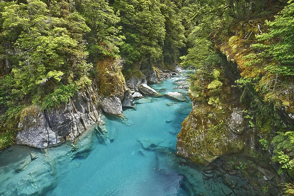 River bed in canyon - New Zealand, South Island, West Coast, Westland