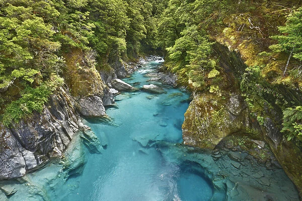 River bed in canyon - New Zealand, South Island, West Coast, Westland