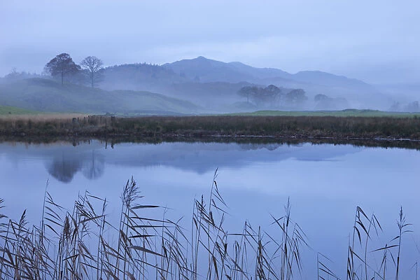 River Brathay on a misty morning near Elterwater, Lake District, Cumbria, England. Autumn