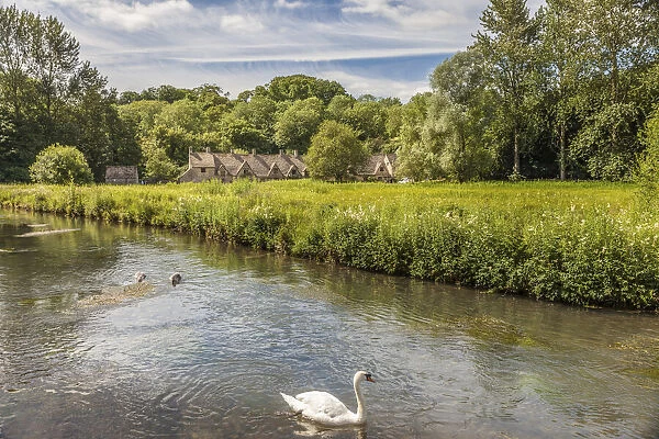 River Coln in Bibury, Cotswolds, Gloucestershire, England