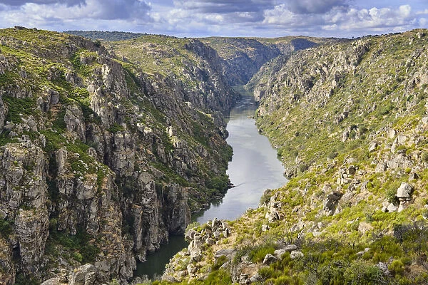 The river Douro crossing the wild and rocky gorges of the International Douro Nature Park