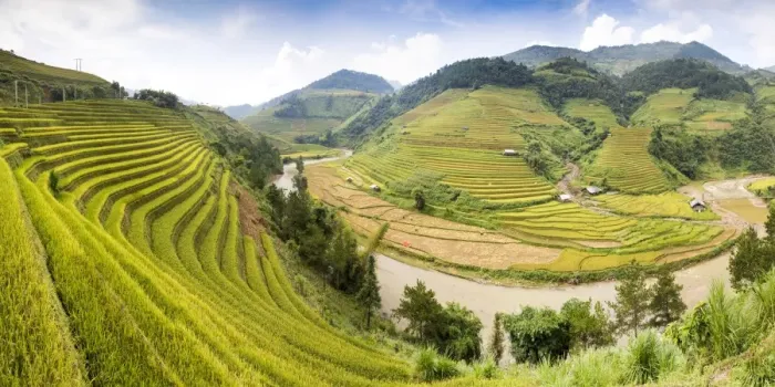Framed Print : A river flows through lush, green rice terraces, Mu Cang Chai, Yen Bai Province, Vietnam Framed Print : A river flows through lush, green rice terraces, Mu Cang Chai, Yen Bai Province, Vietnam