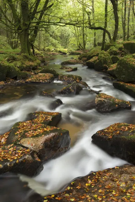 Framed Print : River Fowey tumbling through rocks at Golitha Falls, Cornwall, England Framed Print : River Fowey tumbling through rocks at Golitha Falls, Cornwall, England