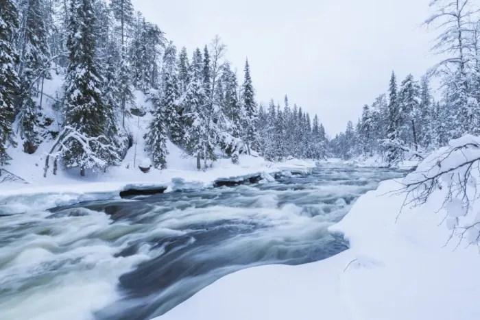 Framed Print : River, Juuma, Oulankajoki National Park, Kuusamo, Finland Framed Print : River, Juuma, Oulankajoki National Park, Kuusamo, Finland