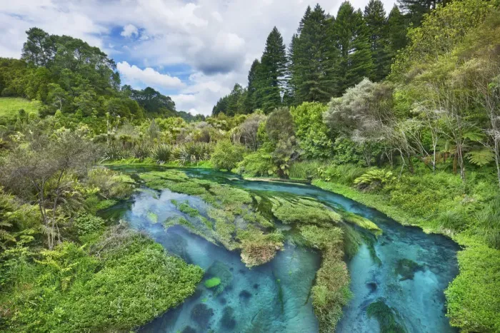 Framed Print : River landscape at Blue Spring - New Zealand, North Island, Waikato, South Waikato