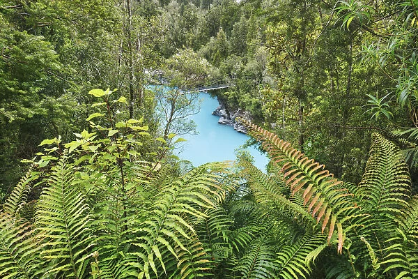 River landscape - New Zealand, South Island, West Coast, Westland, Hokitika