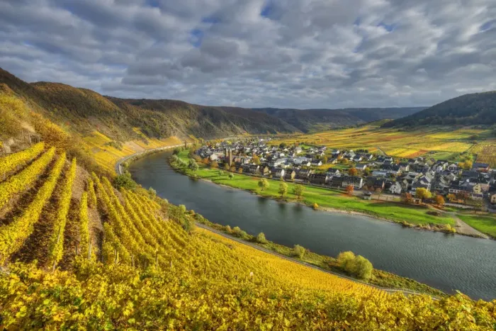 Framed Print : River Mosel with Ernst at fall, Rhineland-Palatinate, Germany