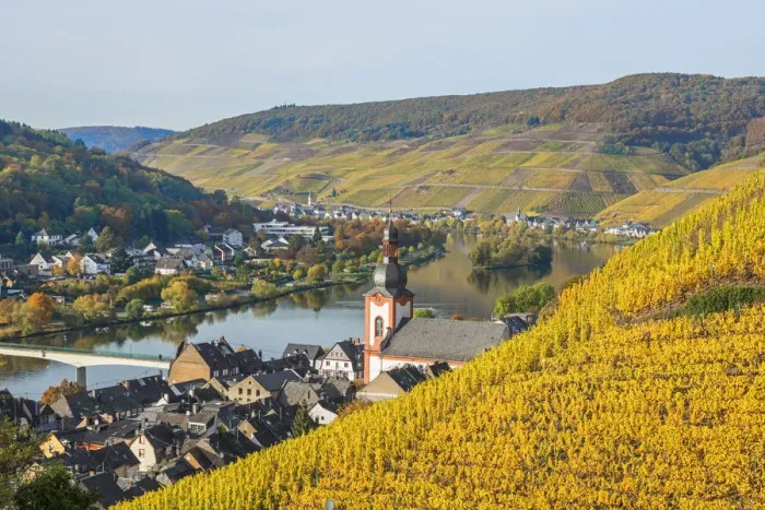 Framed Print : River Mosel with Zell at fall, Rhineland-Palatinate, Germany Framed Print : River Mosel with Zell at fall, Rhineland-Palatinate, Germany