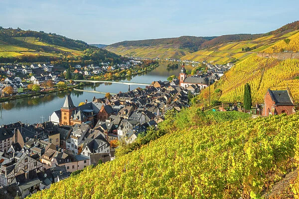 River Mosel with Zell at fall, Rhineland-Palatinate, Germany