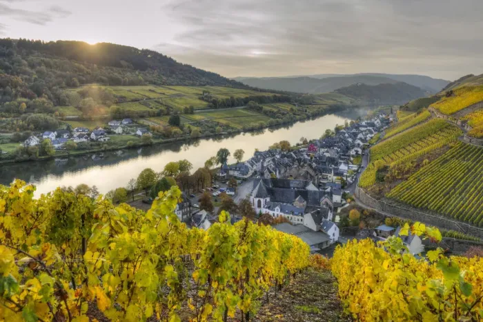 Framed Print : River Mosel with Zell-Merl at fall, Rhineland-Palatinate, Germany Framed Print : River Mosel with Zell-Merl at fall, Rhineland-Palatinate, Germany