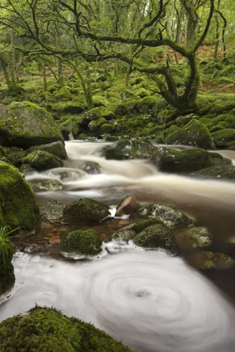 Framed Print : River Plym flowing through Dewerstone Wood, Shaugh Prior, Dartmoor, Devon, England Framed Print : River Plym flowing through Dewerstone Wood, Shaugh Prior, Dartmoor, Devon, England