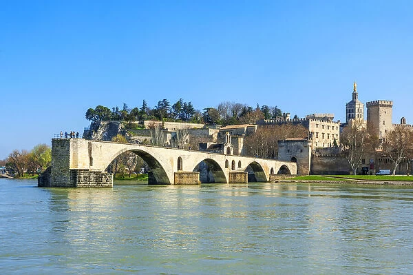 River Rhone with St. Benezet bridge, Popes palace and Notre-Dame des Doms, Avignon, Vaucluse, Provence-Alpes-Cote d'Azur, France