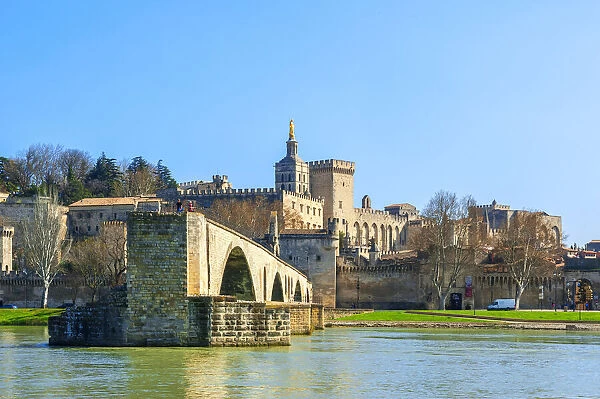 River Rhone with St. Benezet bridge, Popes palace and Notre-Dame des Doms, Avignon, Vaucluse, Provence-Alpes-Cote d'Azur, France
