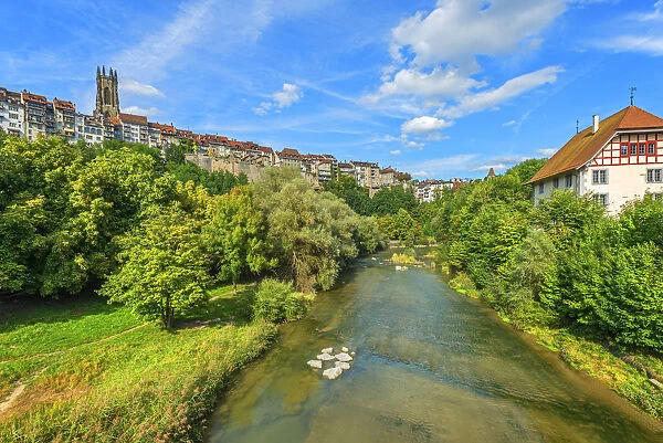 River Saane with old town and cathedral, Fribourg, Fribourg, Switzerland