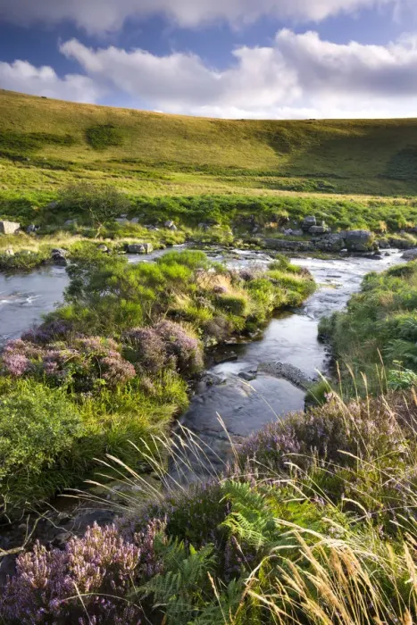 Framed Print : River Tavy running throughTavy Cleave in Dartmoor National Park, Devon, England. Summer Framed Print : River Tavy running throughTavy Cleave in Dartmoor National Park, Devon, England. Summer