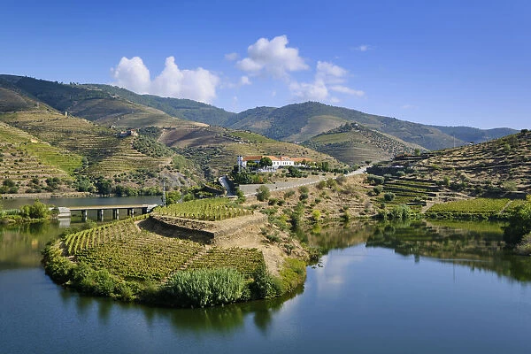 River Tedo, a tributary of the Douro river, and Quinta do Tedo with the terraced