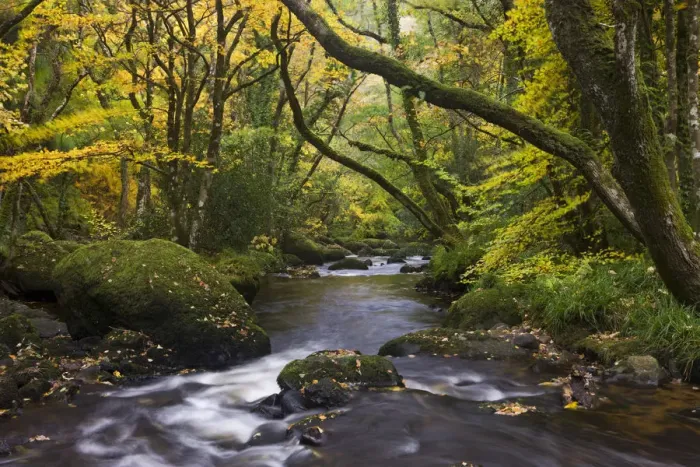 Framed Print : River Teign flowing through deciduous woodland, Dartmoor, Devon, England. Autumn Framed Print : River Teign flowing through deciduous woodland, Dartmoor, Devon, England. Autumn