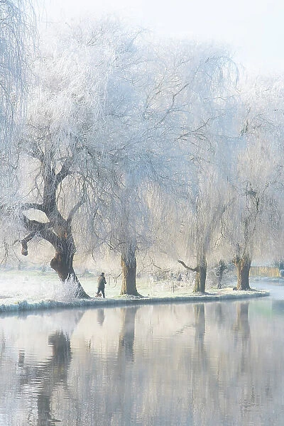 River Wey on a frosty morning, Guildford, Surrey, England