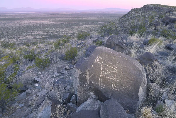 Three Rivers Petroglyph Site, BLM, New Mexico, USA