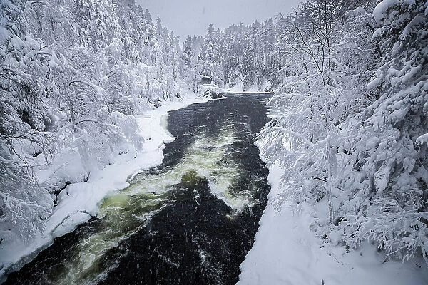 Riverside hut & snow-covered forest, Oulanka National Park, Finland