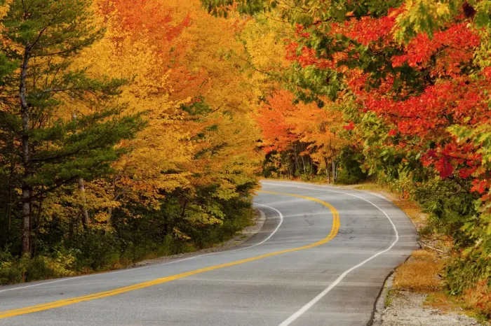 Framed Print : Road in Autumn, Acadia National Park, Maine, USA