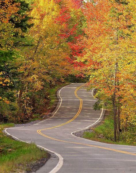 Road Through Autumn Forest, Vermont, New England, USA