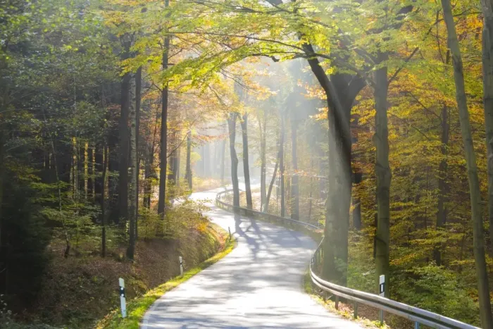 Framed Print : Road through autumn woodland, Saxon Switzerland, Saxony, Germany Framed Print : Road through autumn woodland, Saxon Switzerland, Saxony, Germany