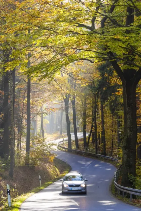 Framed Print : Road through autumn woodland, Saxon Switzerland, Saxony, Germany