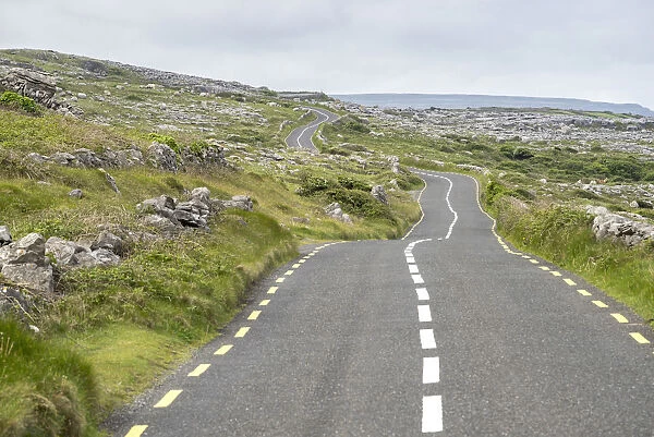 Road in Burren National Park, Munster, Co. Clare, Ireland, Europe