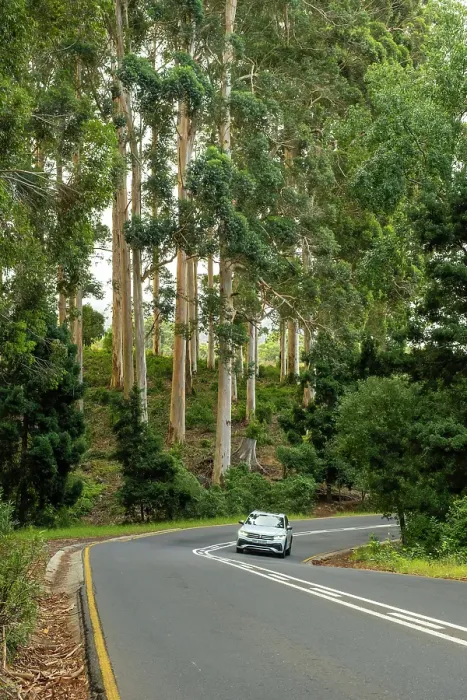 Framed Print : Road in Constantia, Cape Town, Western Cape, South Africa Framed Print : Road in Constantia, Cape Town, Western Cape, South Africa