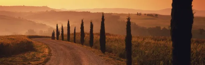 Framed Print : Road & Cypress Trees, Val d Orcia, Tuscany, Italy Framed Print : Road & Cypress Trees, Val d Orcia, Tuscany, Italy