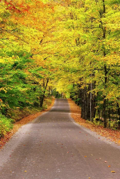 Framed Print : Road with fall foliage in the Adirondack Mountains, New York, USA Framed Print : Road with fall foliage in the Adirondack Mountains, New York, USA