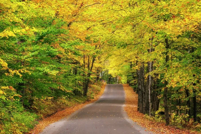 Framed Print : Road with fall foliage in the Adirondack Mountains, New York, USA