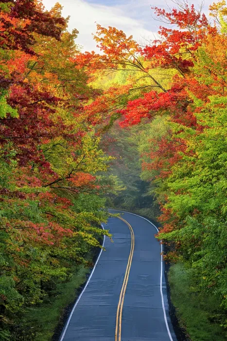 Framed Print : Road with fall foliage canopy, Groton State Forest, Vermont, USA Framed Print : Road with fall foliage canopy, Groton State Forest, Vermont, USA
