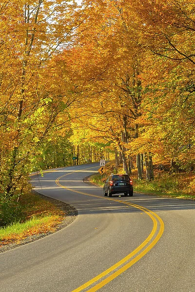 Road through fores in the fall, Woodstock, Vermont, USA
